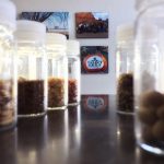 Select Seed of Arizona Seed Jars